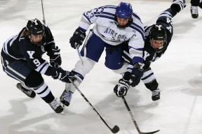 开云入口-“弯弧之间：漂移艺术的极致演绎”，弯道漂移技巧视频教程