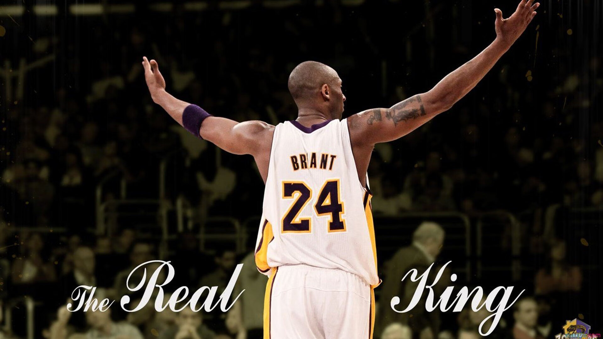 _比赛中的感人瞬间：逆境中的坚韧与拼搏_，比赛中激励人心的词语